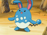 It is unknown where Paul obtained his Azumarill, however, Paul did use it in his battle against the Rock Gym Leader of Sinnoh, Roark. With a powerful Hydro Pump, Paul hoped it would help make quick work of Roark's team. However, Roark's Geodude made quick work of it. After it's pitiful defeat during the Gym Battle with Roark, Paul gave his Azumarill to a passing Trainer.