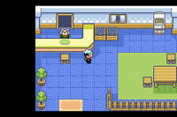 The player inside of the Pokémon Day Care in Pokémon Emerald Version