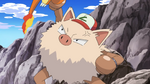Ash first met Primeape after it, as a Mankey, stole his hat. Determined to get his hat back, Ash chased Primeape and battled with it ending with a capture. Primeape was a Pokémon that went berserk easily and originally didn't follow Ash's commands. However after Ash saved it from a fall in a fighting contest, it gained respect for Ash. After the contest, Ash decided to leave it with Anthony for more training so it could become a P1 Champion.