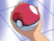 Pikachu's Poké Ball with a lightning design.