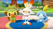 Pokemon Sword & Shield Sarters In Game