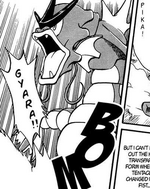Misty had a Gyarados, who was a victim of experimentation from Team Rocket. Later, she traded Gyarados for Red's Krabby.