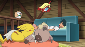 Ash and his Pokémon went to sleep