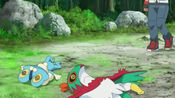 Hawlucha and Froakie fainted