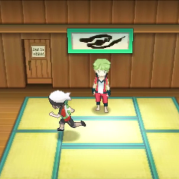 Petalburg City Gym Pokemon Wiki Fandom