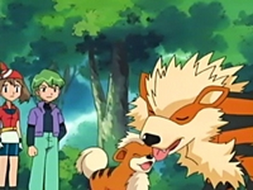 mightyena e arcanine