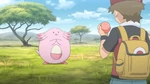 After beating the Pokémon League, Red continued looking for Pokémon to fill his Pokédex. He encountered Chansey while in the Safari Zone. He was deciding to use either bait or Rock when the Chansey began to leave, to which Red followed and captured Chansey.