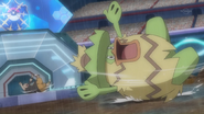 Tierno's Ludicolo's Swift Swim activated.