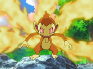 Blaze activated by Ash's Chimchar.