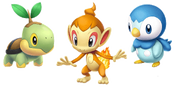 Artwork of Turtwig, Chimchar, and Piplup