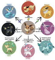 Eevee evolution chart by Selozar