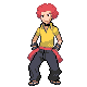 DP battle sprite