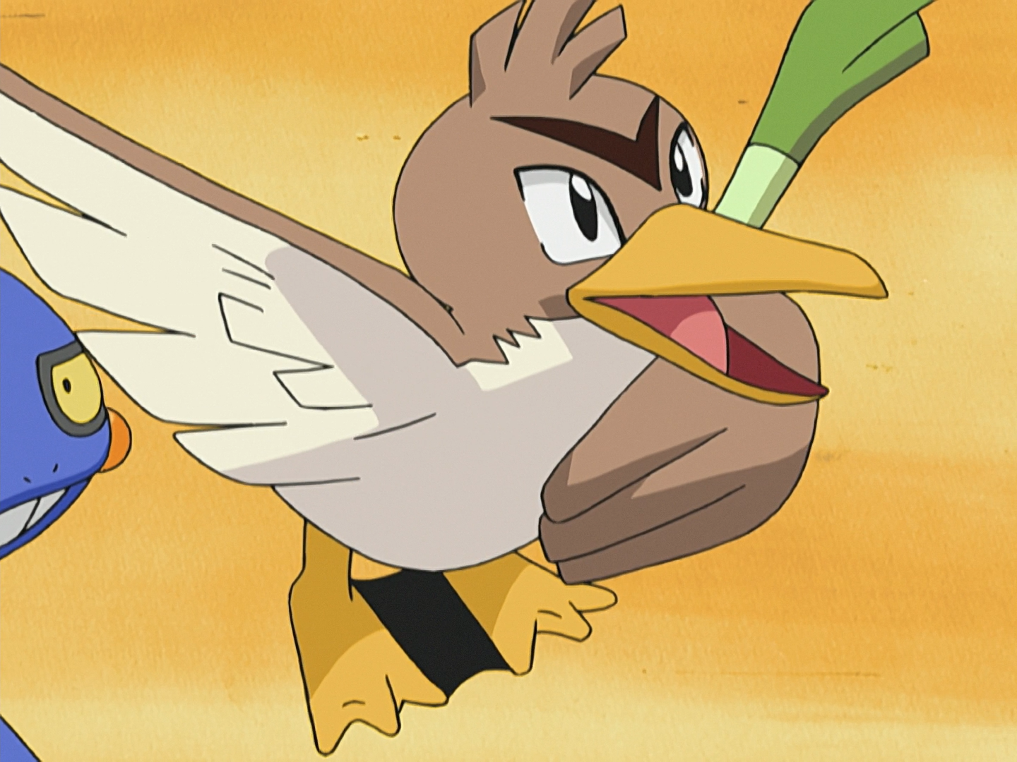 Holly's Farfetch'd, Pokémon Wiki