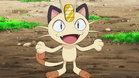 Meowth (Season 9 - 25)