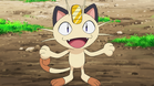 Team Rocket's Meowth