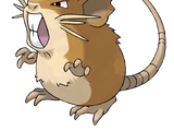 Raticate
