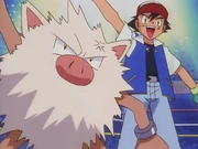 Ash and Primeape.