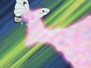 Used by Drew's Butterfree.