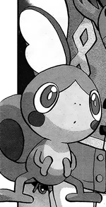 This description is blank. You can improve the Pokémon Wiki by editing this template.