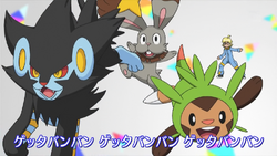 De Gekke Doorzetter Nederlandse Pokemon Wiki Fandom