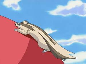 Kimmy's Linoone, Tokin.