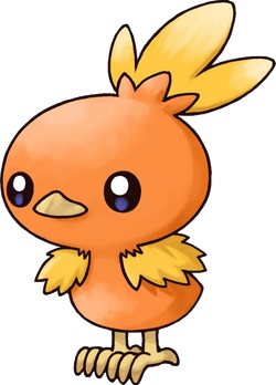 Torchic, Victory Road Wiki