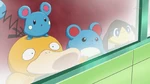 Azurill like Garchomp and the other pokemon it too lives at the Professor Laboratory.
