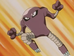 Shiro had a Hitmonlee, who used powerful kick attacks, while also evading opponent's attacks.
