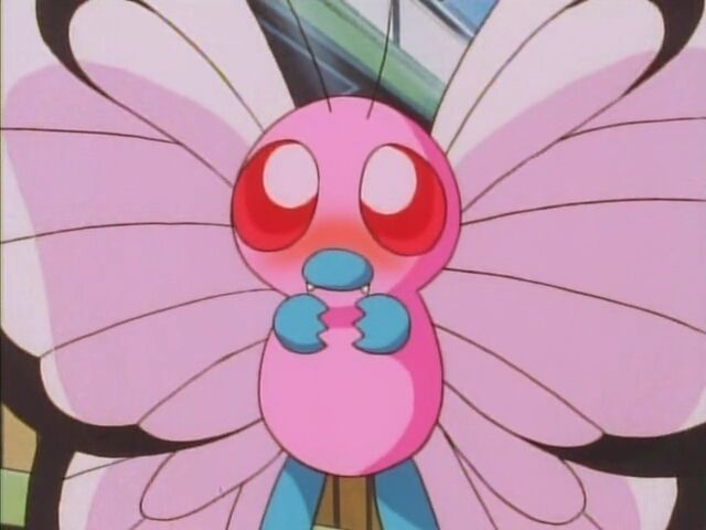 Pink Butterfree Pokemon Wiki Fandom Pink Butterfree Pokemon Wiki Fandom
