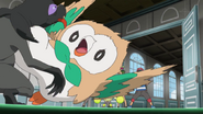 Tackle being used by Ash's Rowlet.