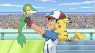 Ash and Snivy