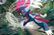 Weavile TCG Kawaguchi Yoohei