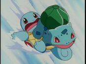 Using Squirtle for a sled