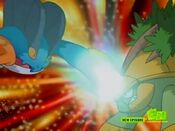 Swampert attacks Grotle