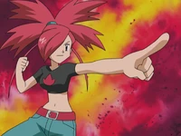 Flannery in Pokémon the Series (anime)