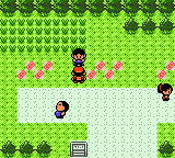 Route 36 - Pokemon World Online Wiki