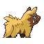 0261Poochyena Back III Shiny.png (798 bytes) Poochyena's Shiny back sprite