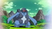Carracosta in the anime.