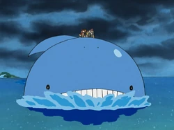 Robin's Wailord in "Island Time"