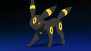 Soleil Umbreon