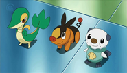 De Unova Starters in de Anime (BW)