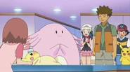 Chansey with Brock, Ash and Dawn
