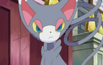 Johanna has had Glameow for a fairly long time. She used it to win many of her Contest battles in her career. However after she settled down, Glameow became a trusted family pet and friend to Johanna and Dawn.