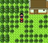 Lake of Rage - Wesley.png (3 KB) On Wednesday, Wesley will be at the left end of the tree maze, offering the player a Black Belt.