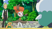 Meloetta is ready to fight Oshawott