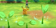 Leech Seed depicted in Pokémon: Let's Go, Pikachu! and Pokémon: Let's Go, Eevee!