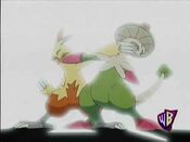 Combusken and Breloom exchange blows