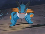 Tommy had a Mudkip, whom he had trained for some time to evolve it into a Marshtomp. The two had a lot of fun time until the ship crashed into a rock, prompting Tommy to leave. During the time on the ship, Marshtomp evolved into a Swampert.