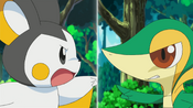 Emolga and Snivy argue