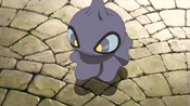 Kodai's Shuppet